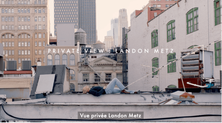 Private View: Landon Metz