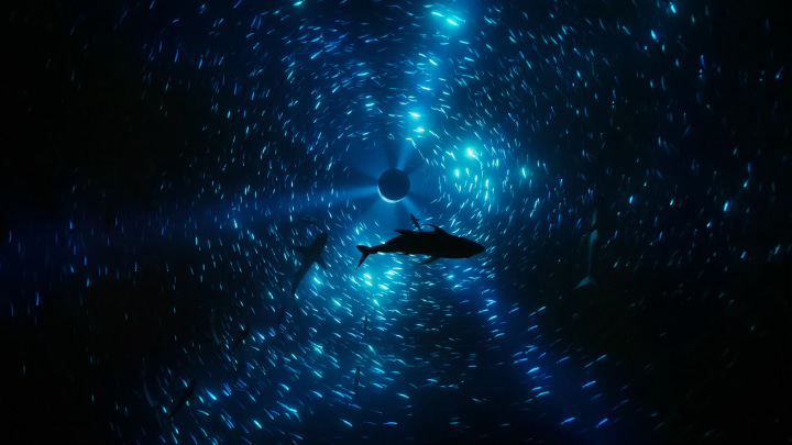Julian Charrière: &quot;The deep sea is a phantasmagorical space.”