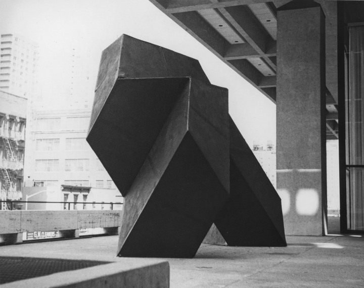 Sculpture in Environment