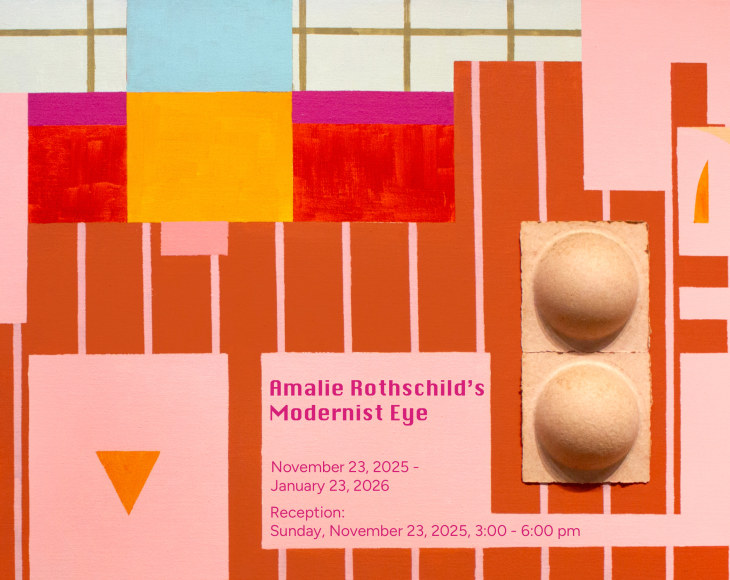 Amalie Rothschild's Modernist Eye