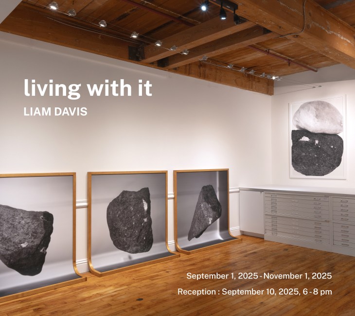 Liam Davis