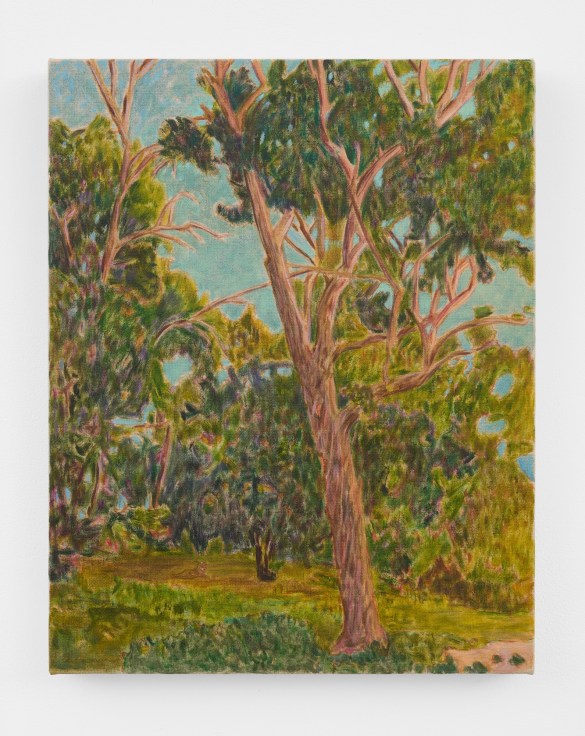 Image of HAYLEY BARKER's Coyote at Elysian, Morning, 2023