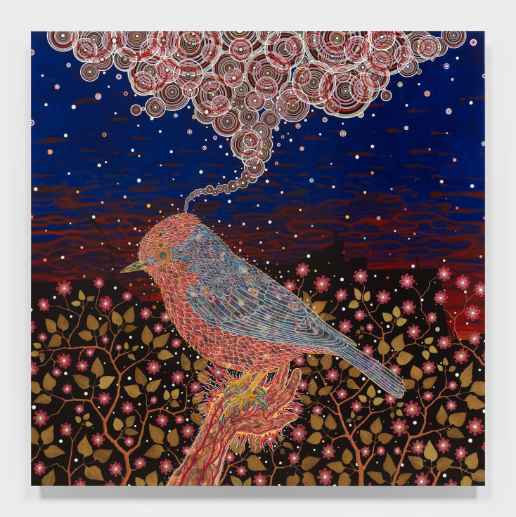 Image of FRED TOMASELLI's Vermilion Flycatcher, 2023
