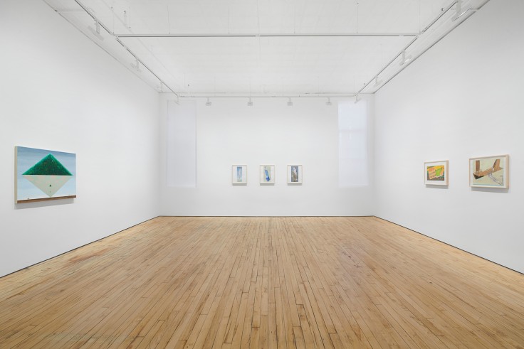 Installation view,&nbsp;Mernet Larsen, Thinking About C&eacute;zanne,&nbsp;James Cohan, 52 Walker Street, New York, NY, February 15 - March 16, 2024.