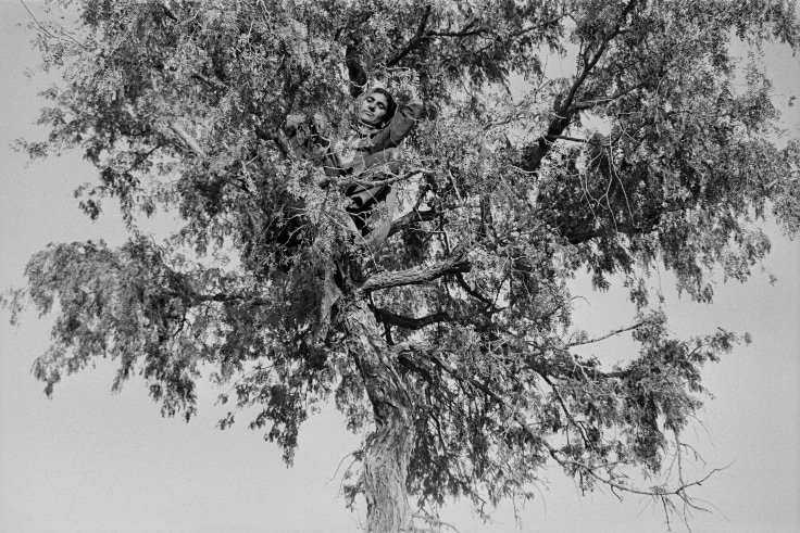 Silver gelatin print in black and white of a person in a tree