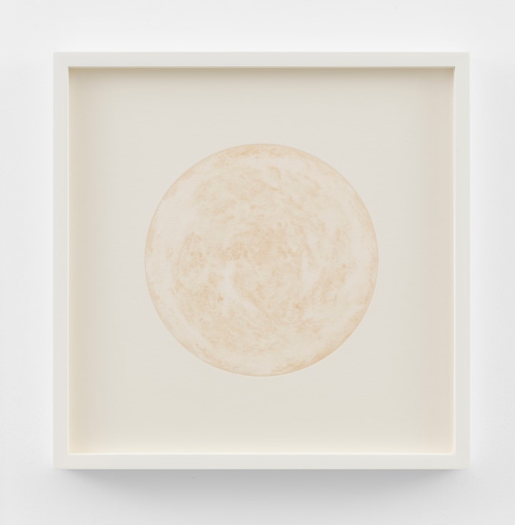 Image of KATIE PATERSON's O V, 2023