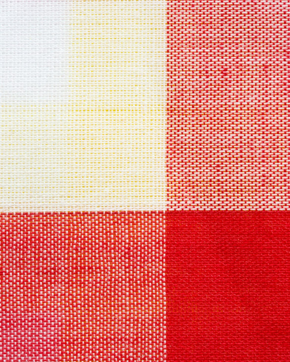 red, yellow, and white gingham fabric