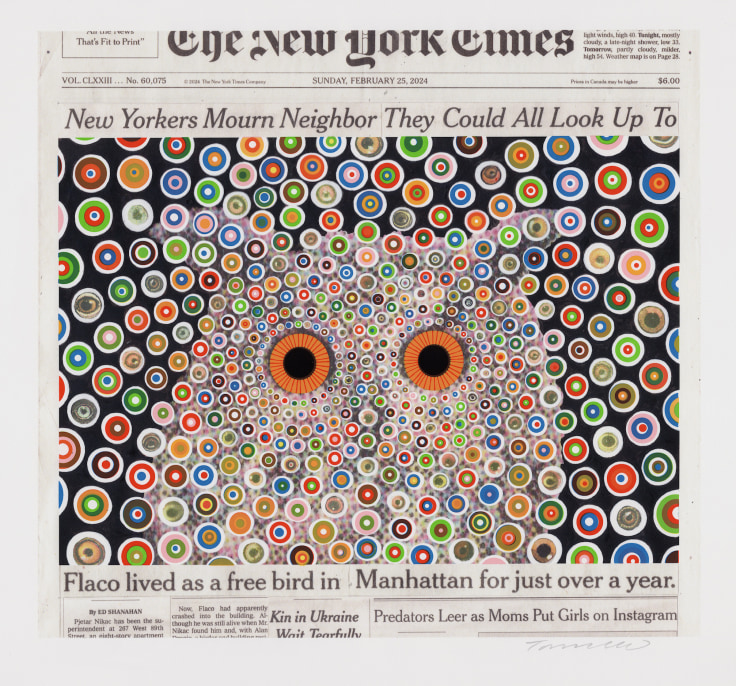 Image of FRED TOMASELLI 's &quot;Flaco,&quot; February 25, 2024, 2024