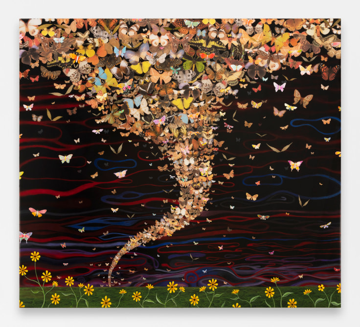 FRED TOMASELLI, After March 21, 2020, Butterfly Population Declines, 2022