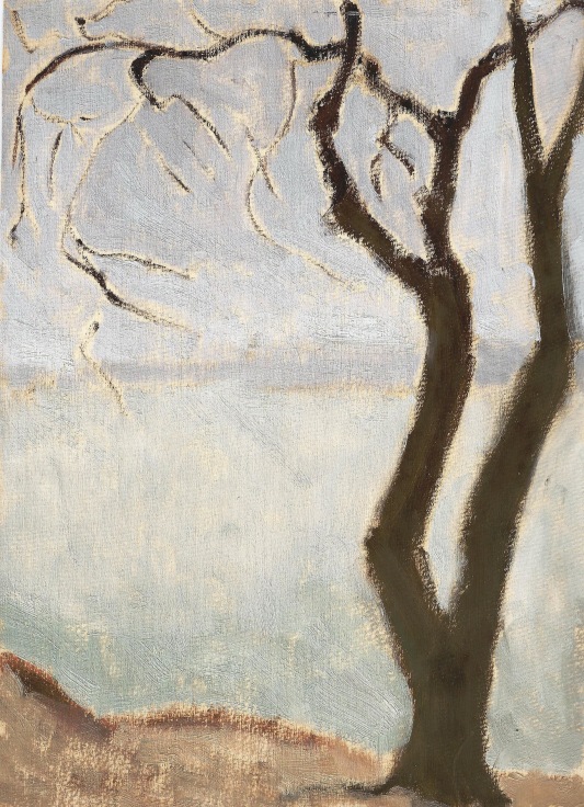 dry tree with a lake in the background