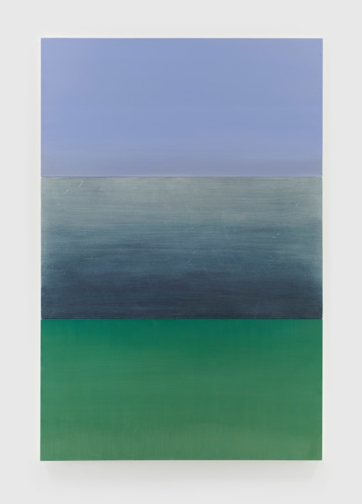 Image of BYRON KIM's B.Q.O. 21 (Triakis semifasciata), 2021