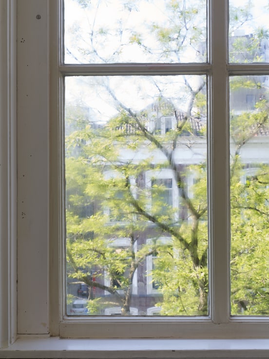 View through window to a tall leafy tree and a building behind it