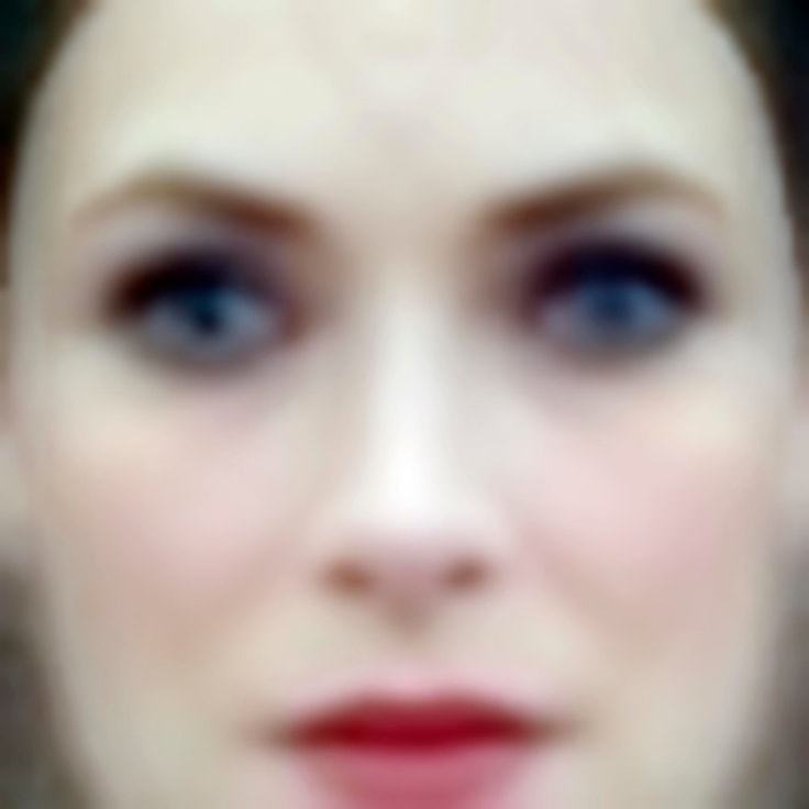 Image of TREVOR PAGLEN's &ldquo;Winona&quot;&nbsp;Eigenface; Labeled Faces in the Wild Dataset, 2016