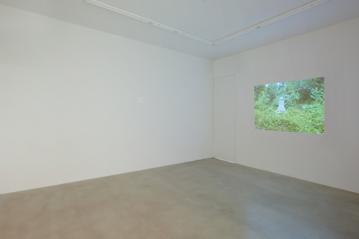 installation view of film