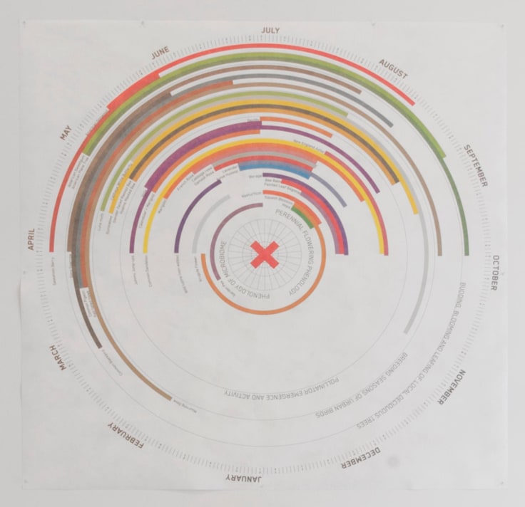 Image of NATALIE JEREMIJENKO's EAT FLOWERS SUPPORT POLLINATORS: a phenological clock of local edible blossoms and the interdependent insects, birds and trees, 2014