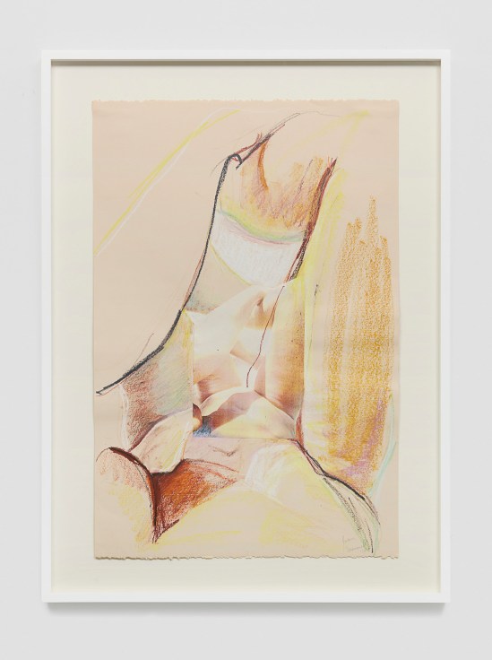 Image of JOAN SEMMEL's Untitled, 1979