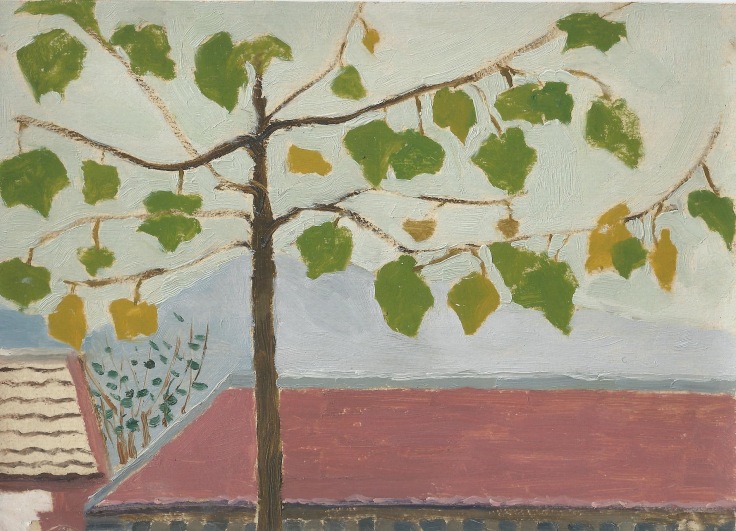 skinny tree with large green leaves
