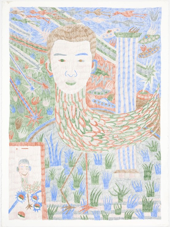 Image of PEIXUAN WANG's Cockasian, 2016