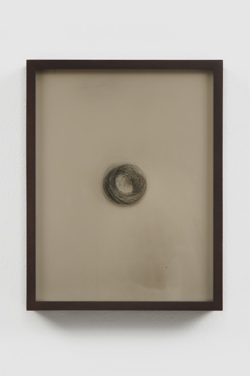Image of SPENCER FINCH's Red (lock of Emily Dickinson’s hair), 2018