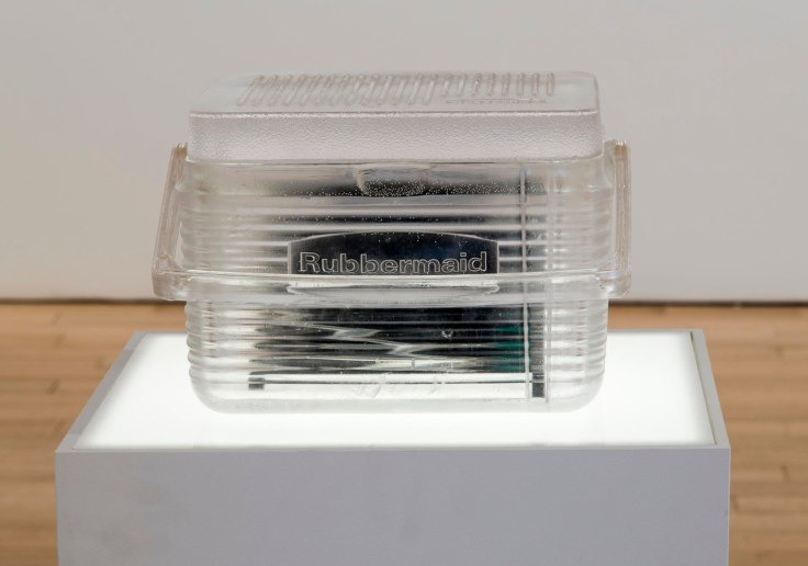 detail of transparent box with dark object inside