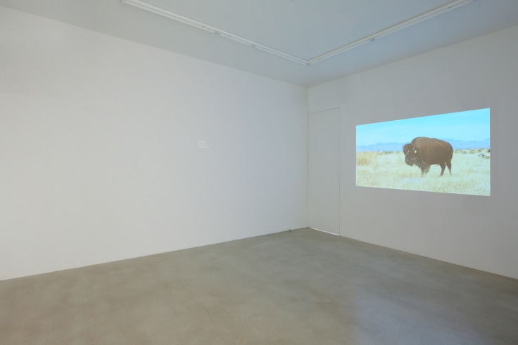 installation view of film
