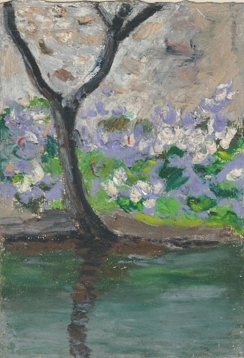 orchids growing behind a leafless tree