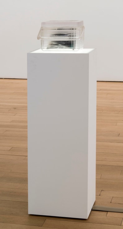 installation view of a sculpture on a pedestal