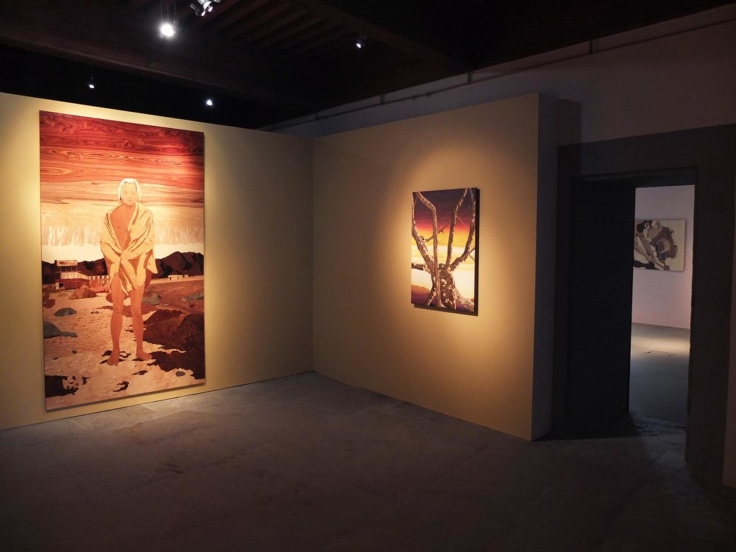 ALISON ELIZABETH TAYLOR, Exhibition view,&nbsp;Savage Root,&nbsp;Chateau de Nyon, Nyon, France, June 19 &ndash; October 25, 2015
