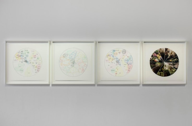 Image of PIERRE HUYGHE's La saison des fetes, 2010