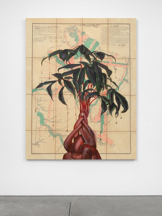 Painting of a tree overlayed over an old map by Firelei B&aacute;ez.