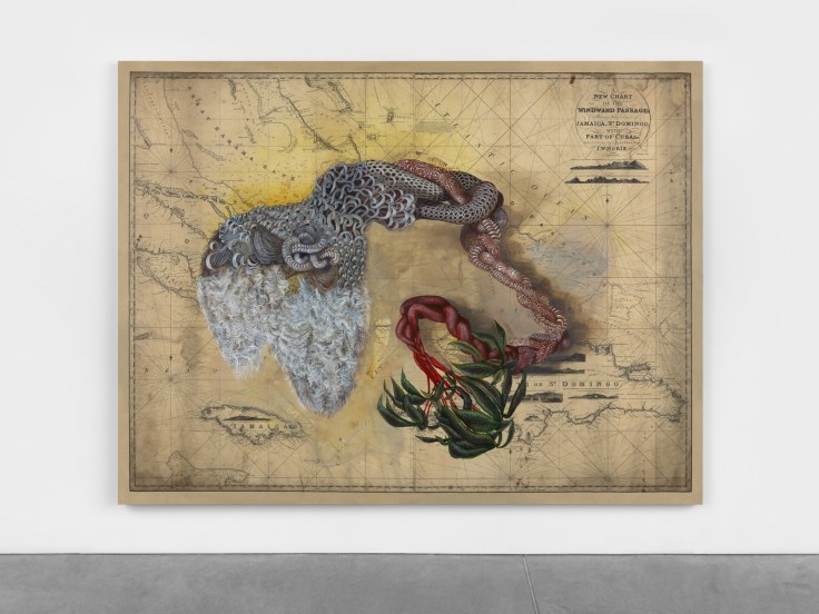 Amorphous serpentine figure over a map of the Caribbean