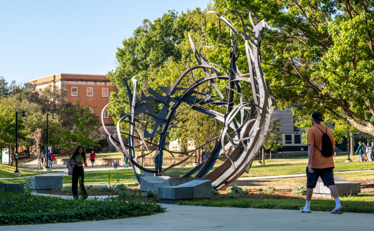 matthew ritchie shadow garden installed on campus at the university of north texas