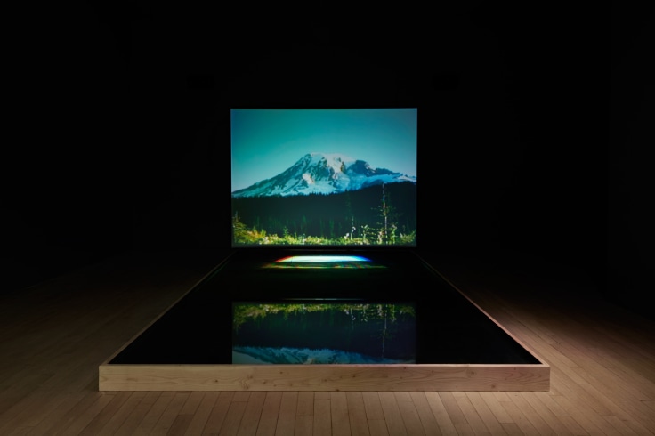 BILL VIOLAMoving Stillness: Mount Rainier 1979,&nbsp;1979Color videotape playback with rear projection reflected off water surface of a pool in a large, dark room; aquarium aerator with timing circuit; amplified stereo sound, Continuously Running