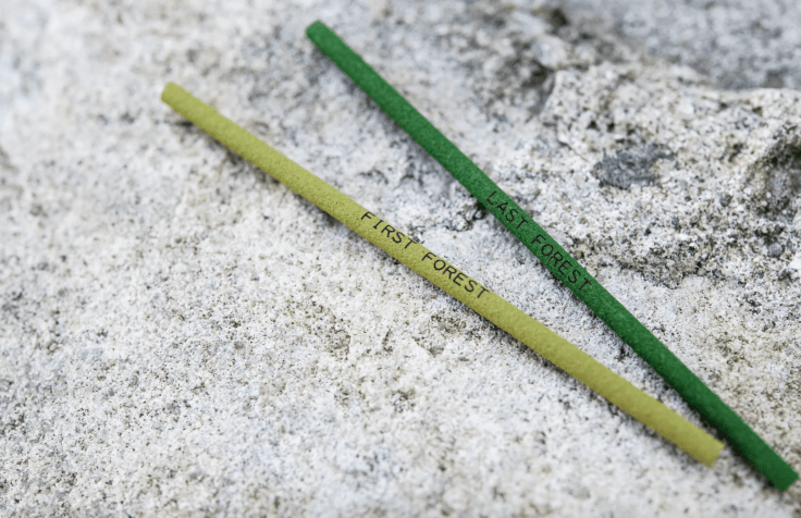 KATIE PATERSON  To Burn, Forest, Fire, 2021  Two bespoke incense sticks scented as the first and last forest