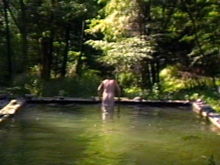 BILL VIOLA The Reflecting Pool, 1977-9/1997