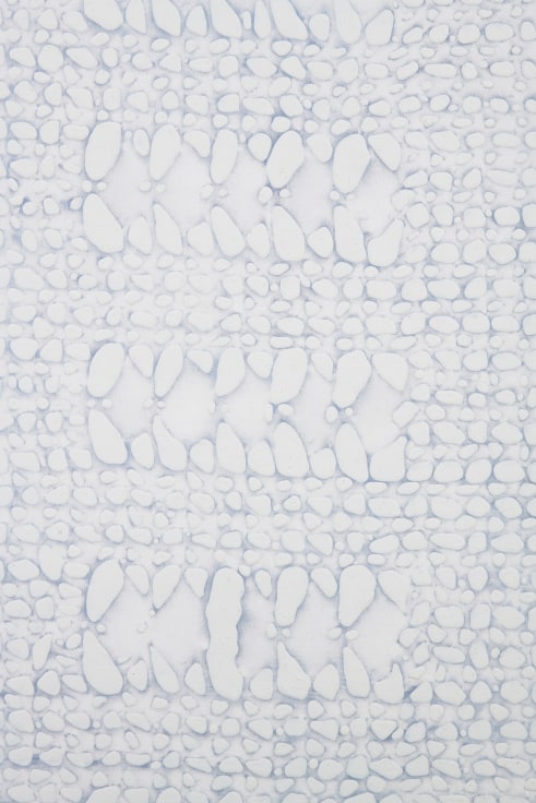 detail of  a rough, scaly surface