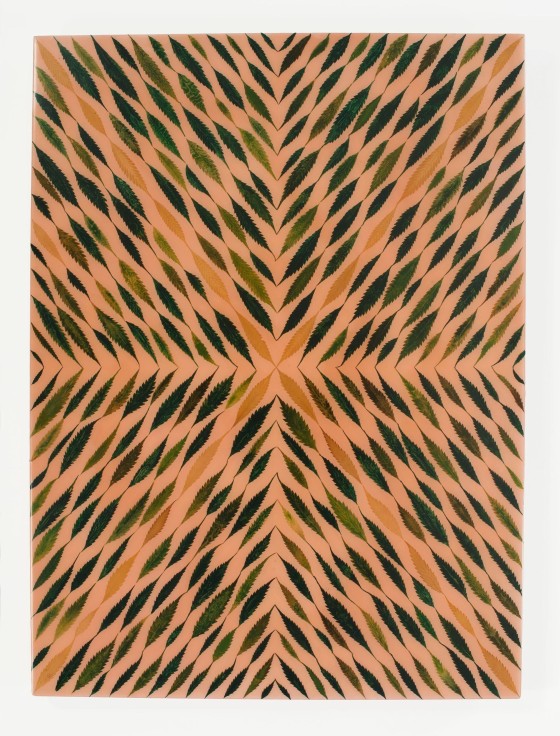 Image of FRED TOMASELLI's X Will Fade, 1990