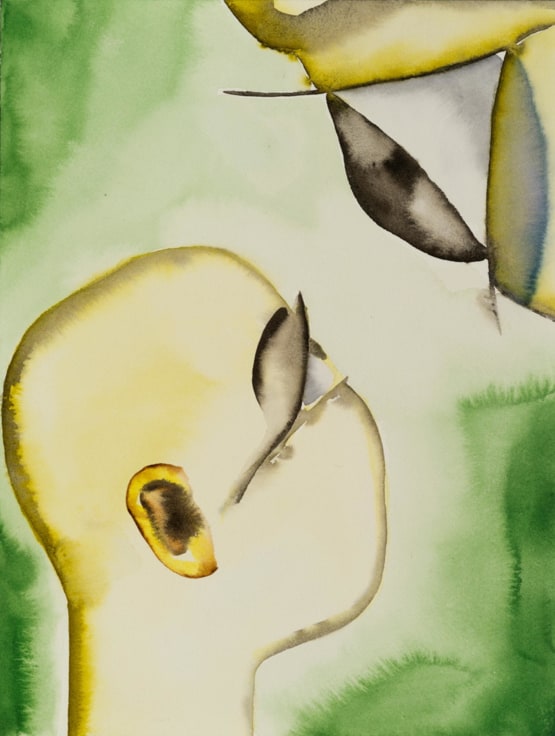 Francesco Clemente: The Chinese Shadows and Selected Watercolors 