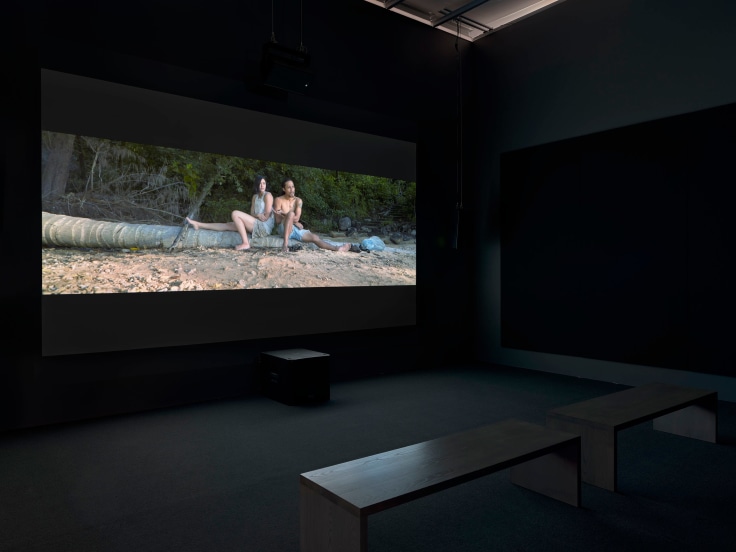 installation view of tuan andrew nguyen's The Island, 2017
