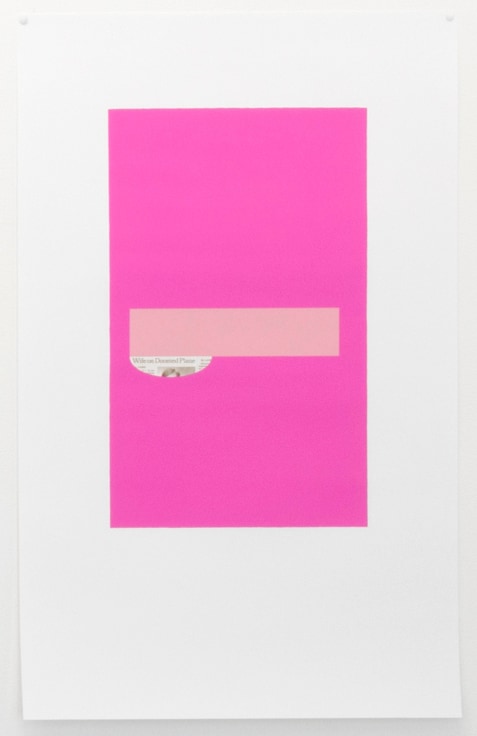 newspaper article with pink printed on it