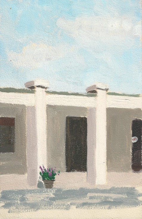 greyish building with a potted plant with purple flowers adorning the façade