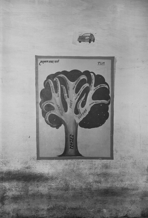 Silver gelatin print wall illustration of labeled tree