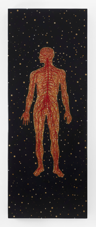 &nbsp;, FRED TOMASELLI