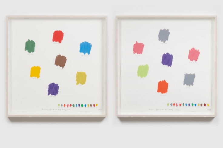 Image of SPENCER FINCH's “As Blind Men learn the sun” (passing cloud), 2018