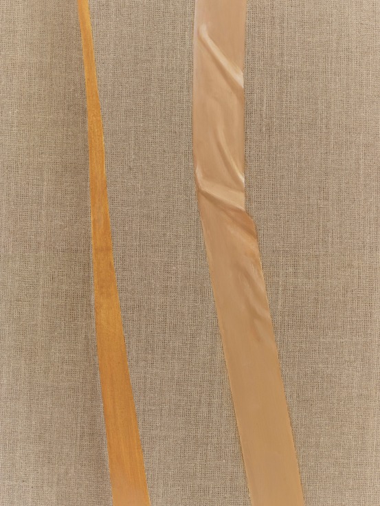 HELENE APPEL Tape, 2016