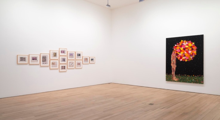 installation view of several artworks