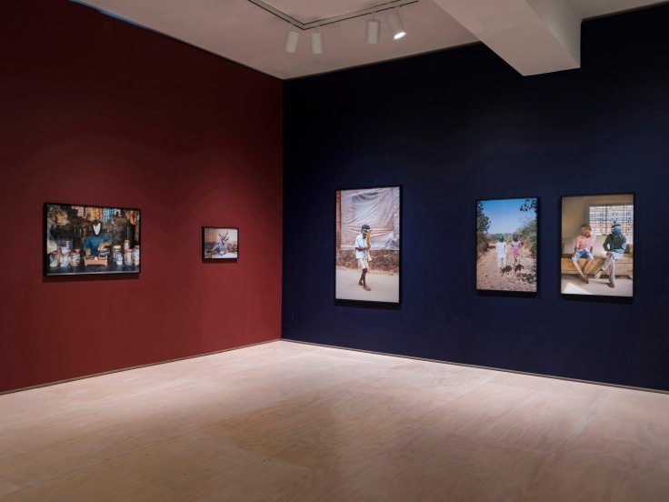Installation view:&nbsp;Projects 108: Gauri Gill