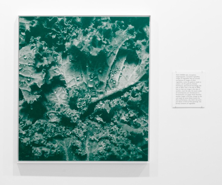print of kale leaves