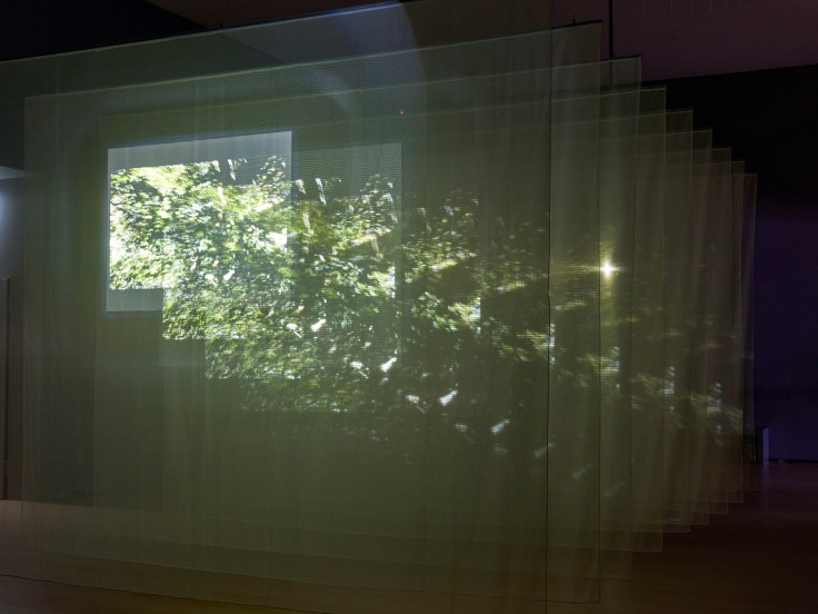 installation view of several glass panels with a projection of greenery
