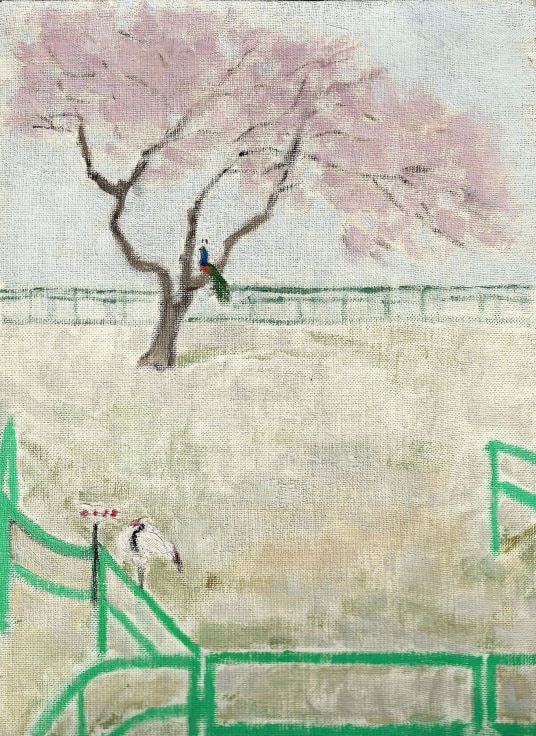 cherry blossom within a fenced in field featuring a crane near the railing and a peacock seated on a tree branch